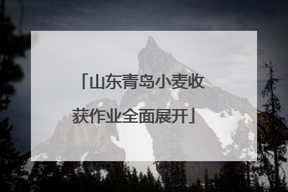 山东青岛小麦收获作业全面展开